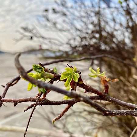 Apartamenty Marina Z Widokiem Na Morze Darlowko Esterno foto